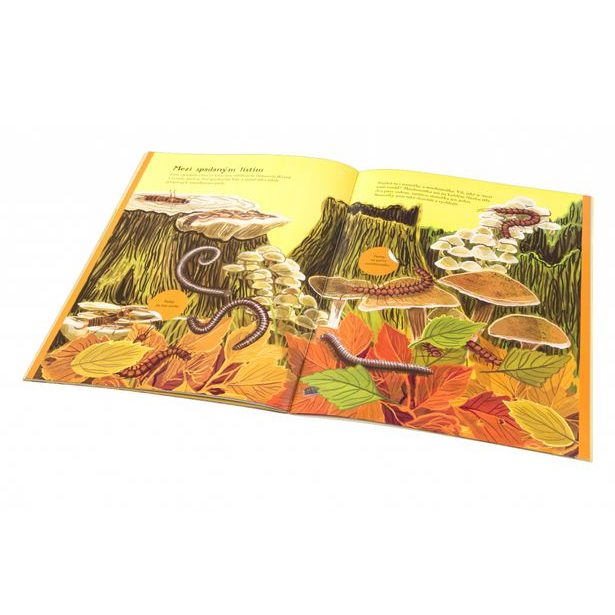 BROUČCI, MOTÝLI a další potvůrky – Kniha samolepek Baagl