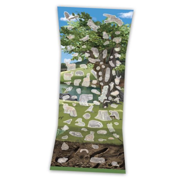 SVĚT STROMŮ, hub a zvířat našich luk a lesů – Knížka s plakátem a samolepkami