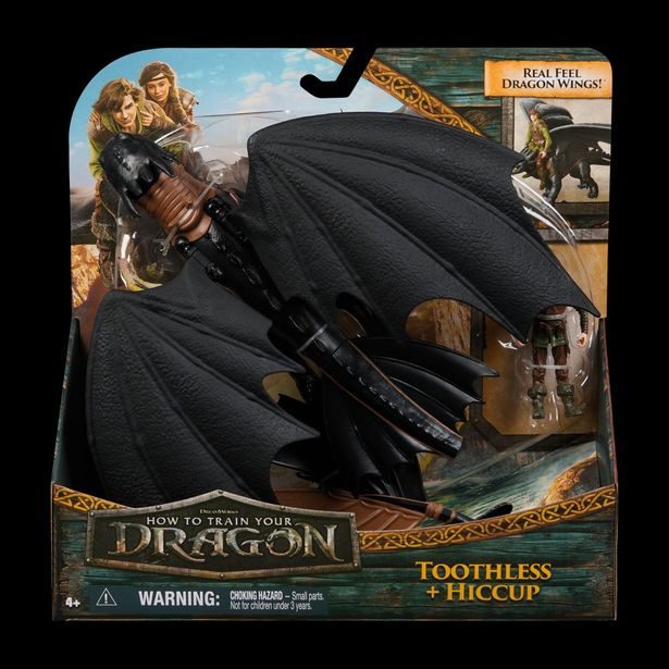 JAK VYCVIČIT DRAKA DRAK A VIKING BEZZUBKA A ŠKYŤÁK