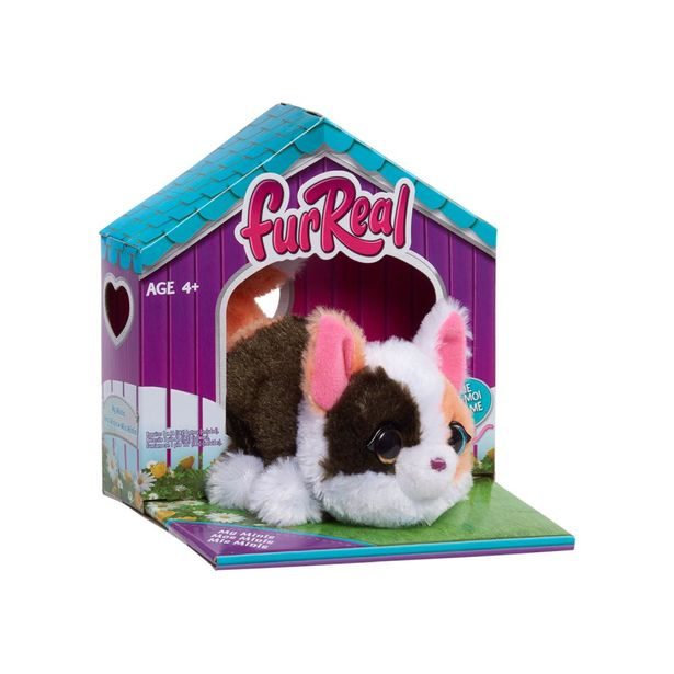 FUR REAL MY MINI'S KOTĚ