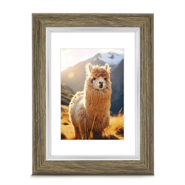 Hama rámeček plastový LIMA, olivová, 10x15 cm