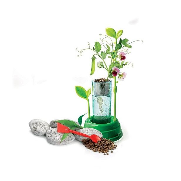 CLEMENTONI SCIENCE - Hydroponická botanika