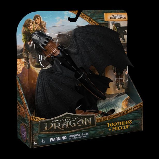 JAK VYCVIČIT DRAKA DRAK A VIKING BEZZUBKA A ŠKYŤÁK