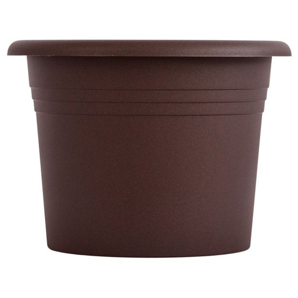 obal d60cm Narcis Čoko
