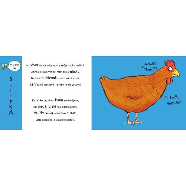 Roztopašné hry NA DVORE so zvieratkami