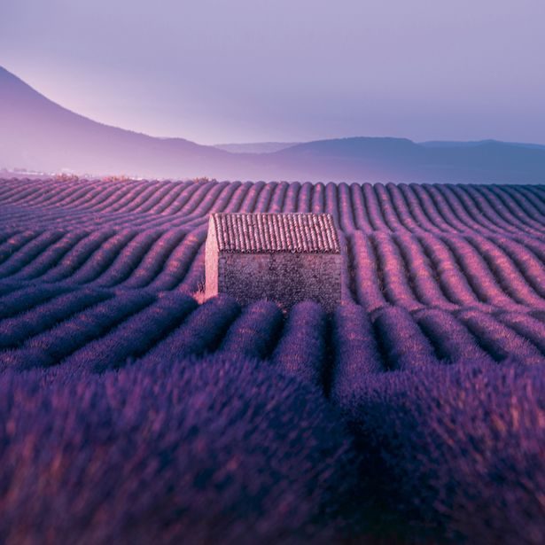 NOTIQUE Poznámkový kalendář Provence 2027, 30 x 30 cm
