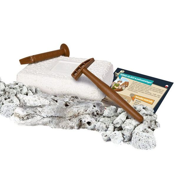 Vykopávky - Velociraptor