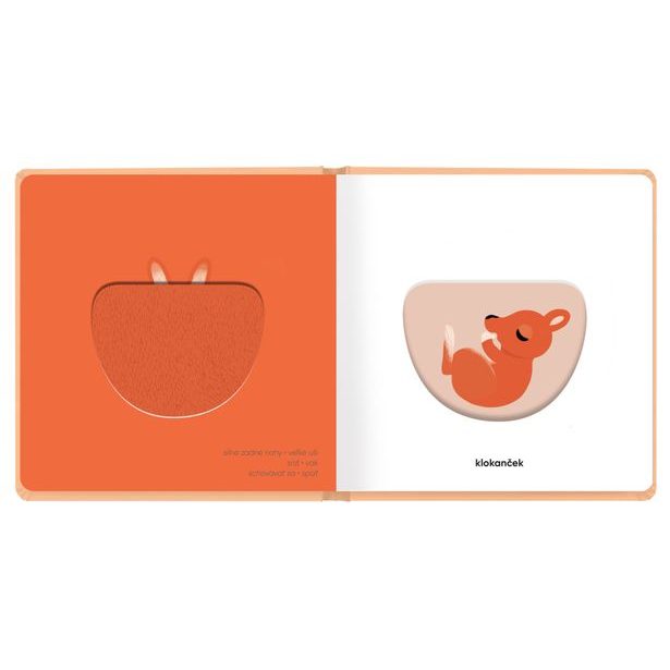 MOJE MLÁĎATKÁ – Klap klap obrázky