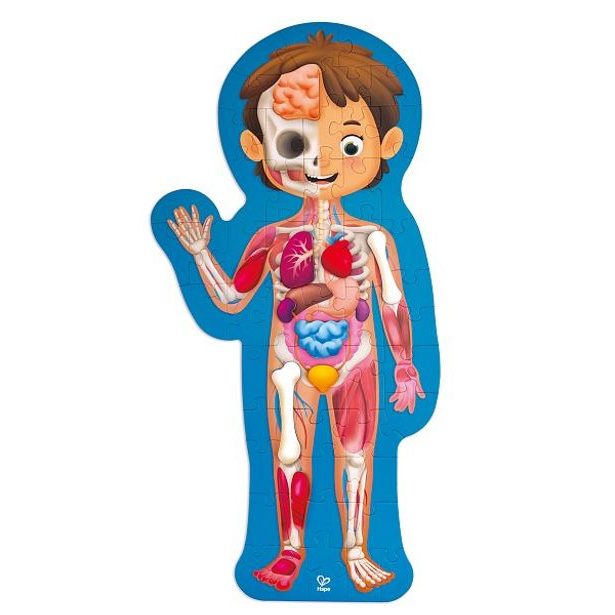 Hape Puzzle - lidské tělo