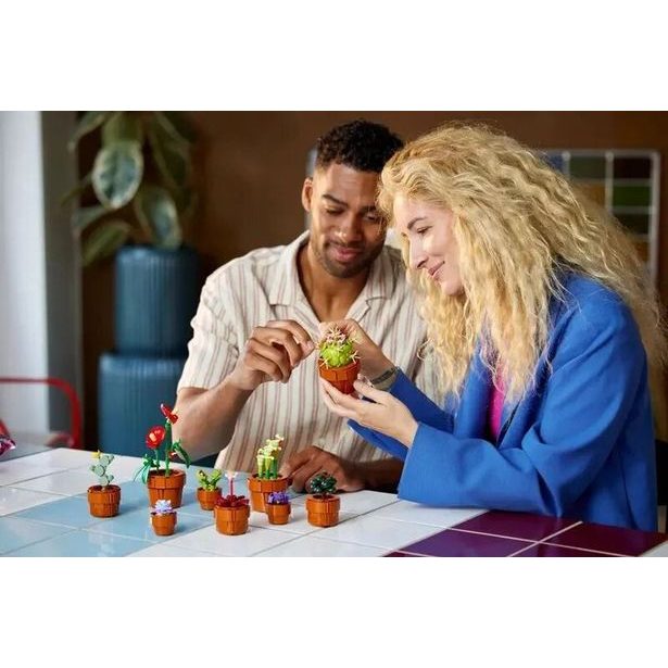 Miniaturní rostliny