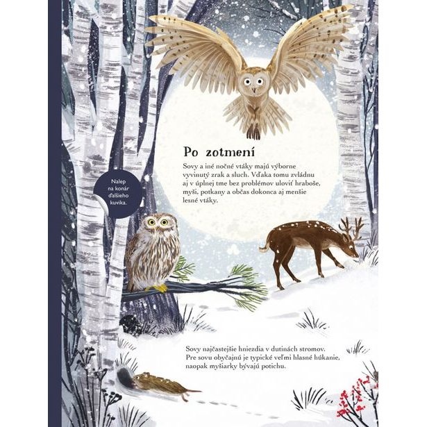 SVET SÝKORIEK, VRABCOV a ďalších spevavcov – Kniha samolepiek Baagl