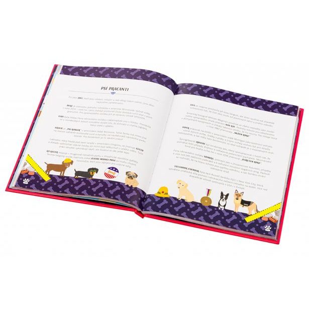 PSI V AKCI! – Neuvěřitelné psí příběhy Baagl