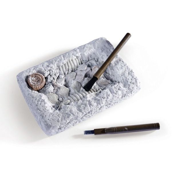 Sada na vykopávání dinosaura, 3 druhy