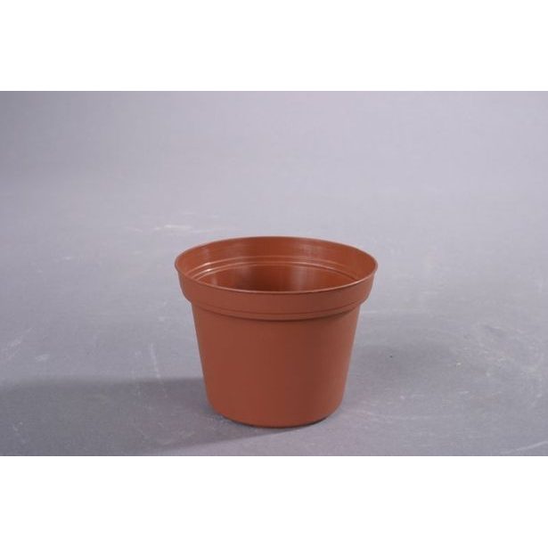 květ. d10cm PREMIUM VCG/leh 15 kusů