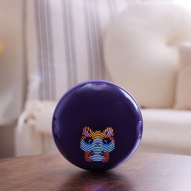 BITZEE KOULE PRO KŘEČKY