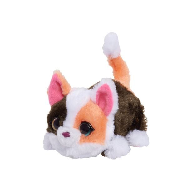 FUR REAL MY MINI'S KOTĚ