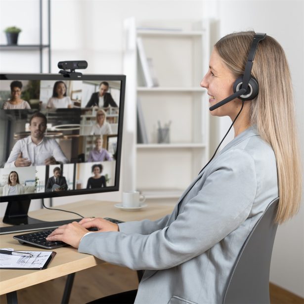 Hama PC Office Headset HS-P150 V2