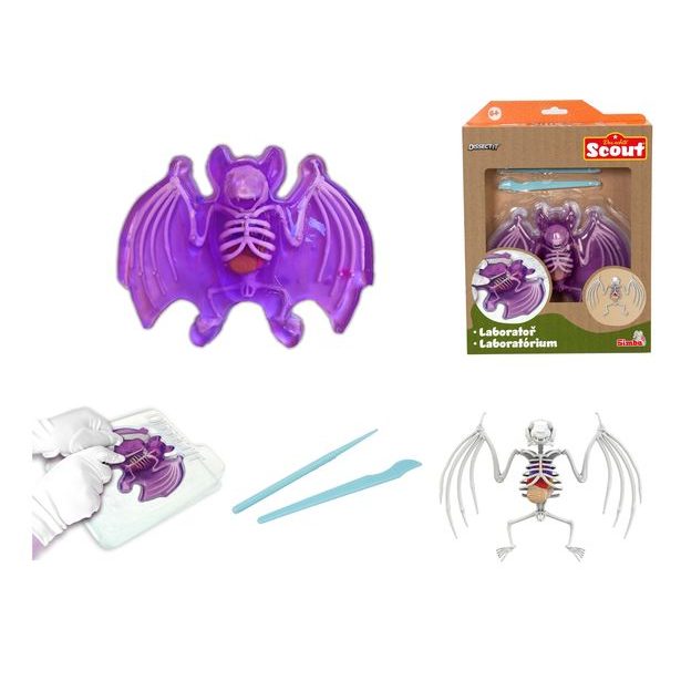 Objevuj Pitva Netopýra