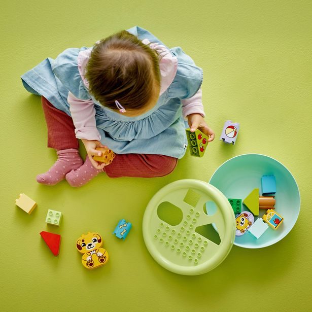 Třídění tvarů: Domeček pro štěňátka