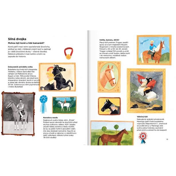 PROČ KONĚ NECHODÍ BOSÍ – Vše o koních Baagl