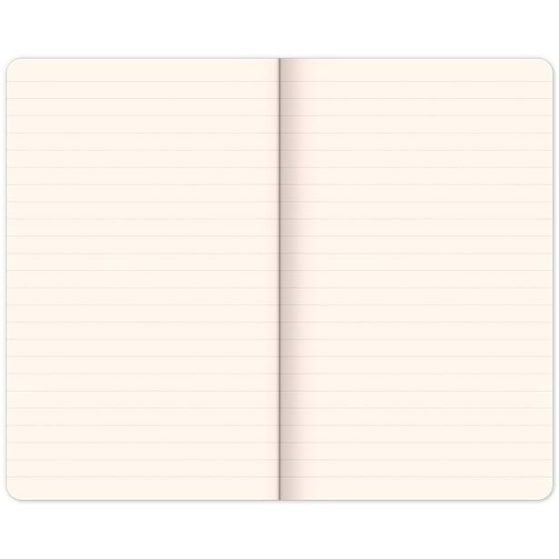 Notes Alfons Mucha – Malířství, linkovaný, 13 × 21 cm Baagl