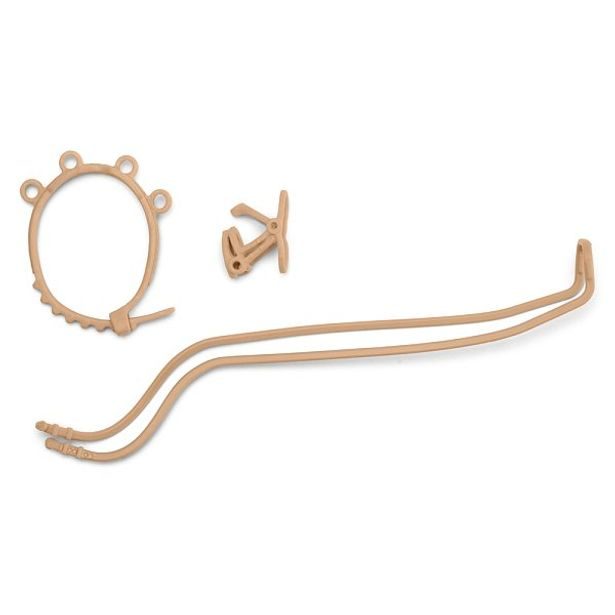 Kočár pro koňskou show