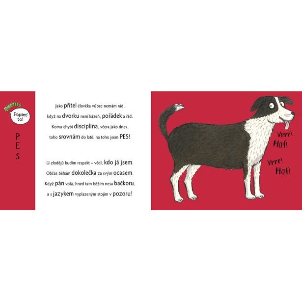 Rozpustilé hrátky NA DVOŘE se zvířátky