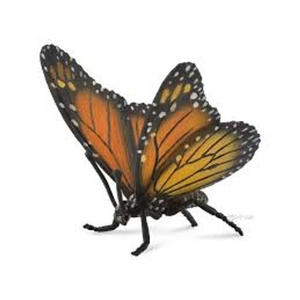 Monarcha stěhovavý