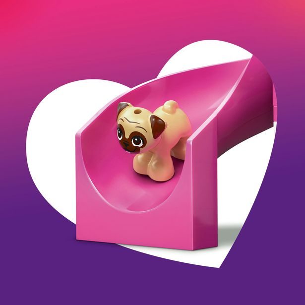 Hřiště pro štěňátka