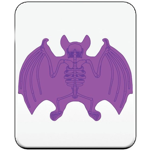 Objevuj Mini Laboratoř, 3 druhy