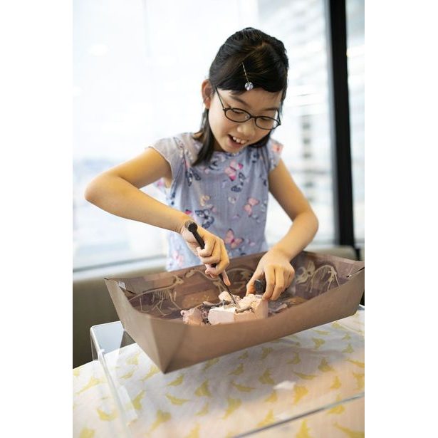 Dinosauří kostra - Mamut