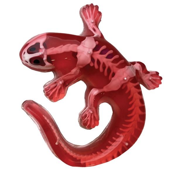 Objevuj Mini Laboratoř, 3 druhy