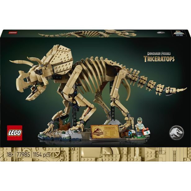 Dinosauří fosilie: Triceratops