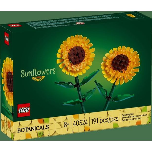 Slunečnice