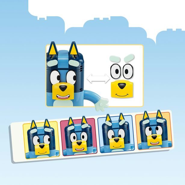 Bluey a její rodinka z kostek