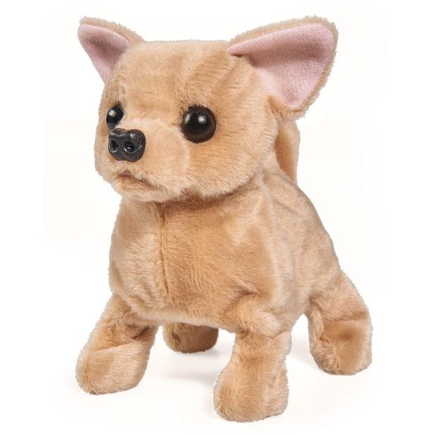 CCL Čivava štěňátko