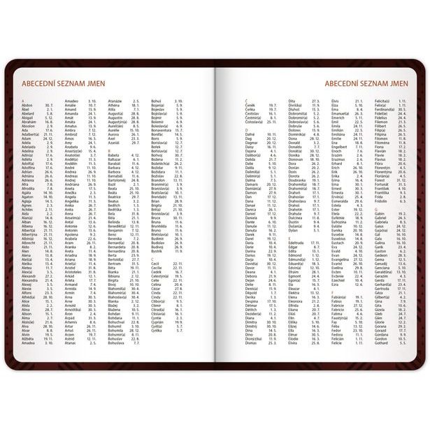 NOTIQUE Studentský diář Harry Potter (září 2026 – prosinec 2027), 9,8 x 14,5 cm