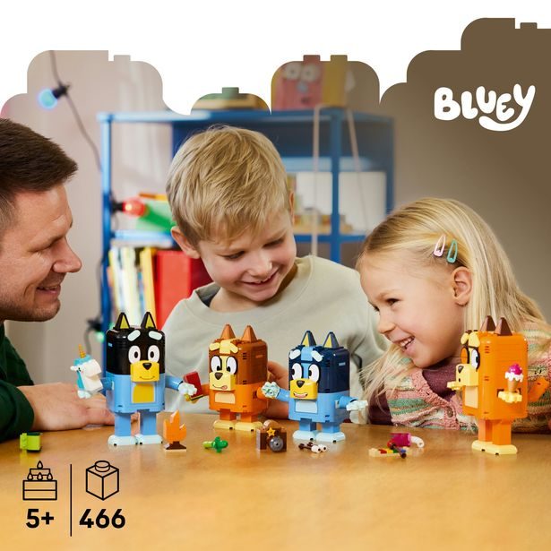 Bluey a její rodinka z kostek