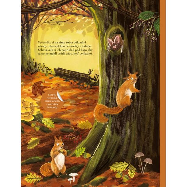 SVET JEŽKOV, UŠIAKOV a ďalších chlpáčov – Kniha samolepiek