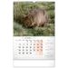 Nástěnný kalendář Za zvířaty do divočiny 2023, 33 × 46 cm Baagl