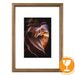 Hama rámeček dřevěný PHOENIX, hnědý, 30x40 cm