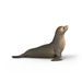 SCHLEICH Zvířátko - lachtan