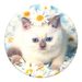 PopSockets PopTop Gen.2, Purr-fect Flower, výměnný vršek