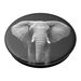 PopSockets PopGrip Gen.2, Loxodonta Africana, slon africký