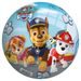 Míč Paw Patrol 230mm P