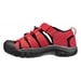 KEEN Newport H2 K, ribbon red/gargoyle