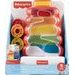 Fisher Price VĚŽ S PROPADÁVAJÍCÍMI KROUŽKY