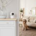 Hama Smart domácí WiFi kamera, otáčení/naklápění, noční vidění, Full HD