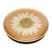 PopSockets PopGrip Gen.2, Pressed Flower White Daisy, bílý kvítek zalitý v pryskyřici