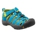 KEEN Newport, hawaiian blue/green glow